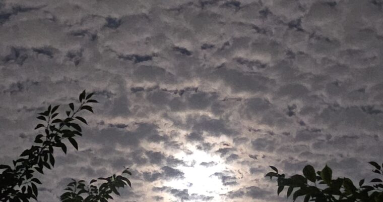 사진으로 남긴 이야기 – 🌕 오늘도 달 보러 갑니다